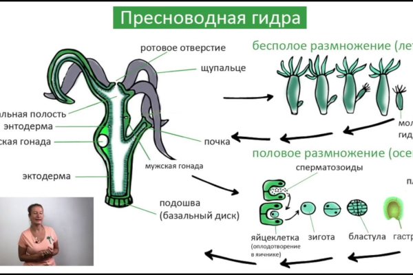 Правила омг омг