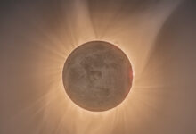 Photo of Странные фильмы 2049 года