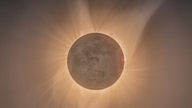 Photo of Странные фильмы 2049 года