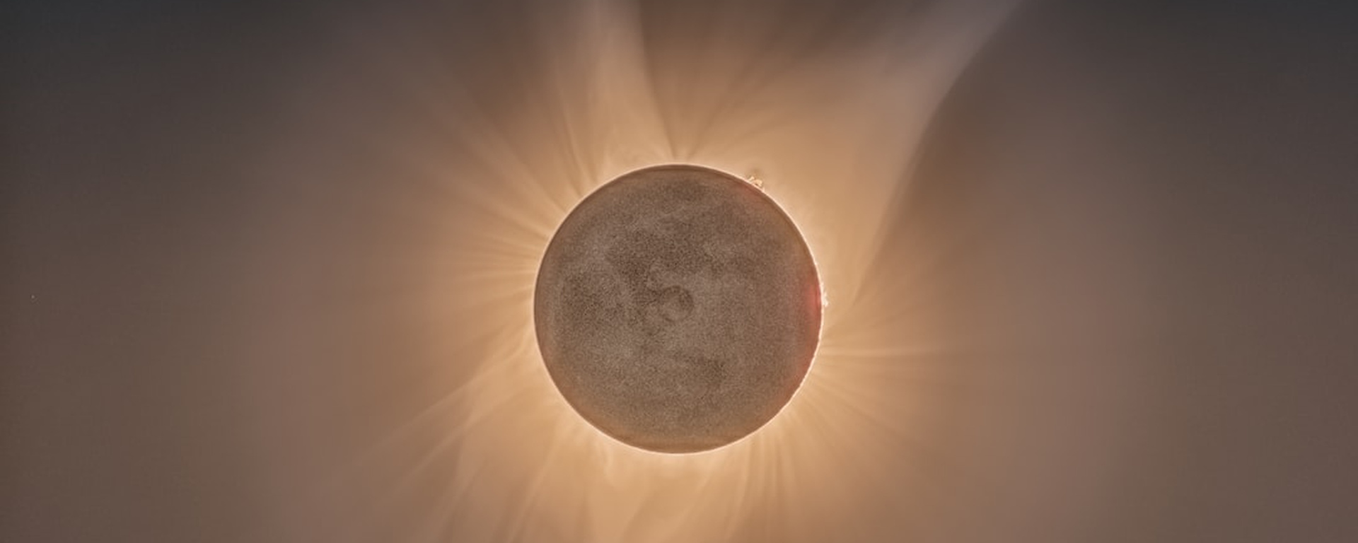 Фото 11 — Странные фильмы 2049 года