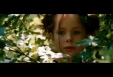 Photo of Фильмы о животных и дружбе