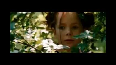 Photo of Фильмы о животных и дружбе