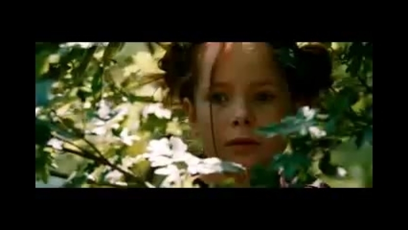 Фото 51 — Фильмы о животных и дружбе