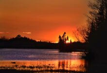 Photo of Как выбрать фильм на вечер