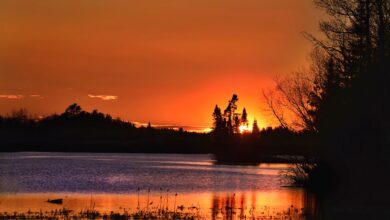 Photo of Как выбрать фильм на вечер