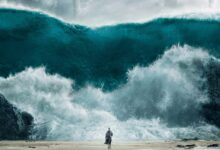 Photo of Обзоры популярных фильмов и сериалов